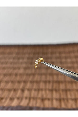 316 L Cerrahi Çelik Lale Modeli Zirkon Taşlı Dudak Helix Tragus Kıkırdak Pierincgi