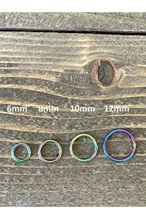 316 L Cerrahi Çelik Anti Alerjik Kilitli Halka Piercing Gökkuşağı Renk