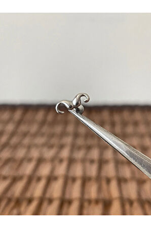 316 L Cerrahi Çelik Bıyık Modeli Dudak Kıkırdak Helix Tragus Piercingi