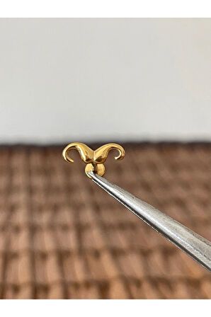 316 L Cerrahi Çelik Bıyık Modeli Dudak Kıkırdak Helix Tragus Piercingi