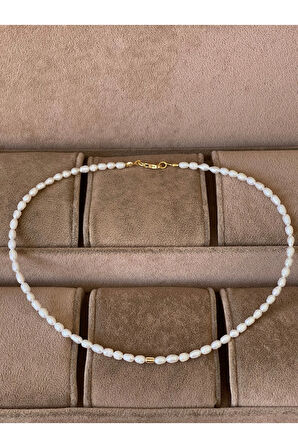 14 Ayar Altın Burgu Detaylı Doğal İncili Zarif Altın Kolye