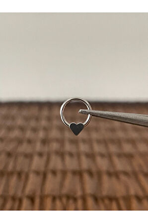 316 L Cerrahi Çelik Halka Piercing Kıkırdak Helix Tragus Piercingi