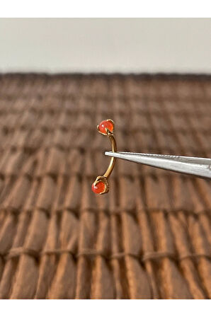 316 L Cerrahi Çelik Doğal Taşlı Kaş Kulak Snug Helix Kıkırdak Daith Conch Rook Tragus Piercing