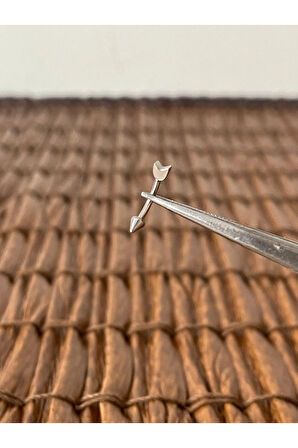 316 L Cerrahi Çelik Ok Yay Modeli Kaş Kulak Snug Helik Kıkırdan Daith Conch Rokk Tragus Piercing