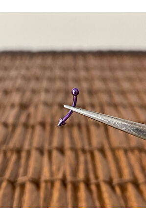 316 L Cerrahi Çelik Kaş Kulak Snug Helik Kıkırdan Daith Conch Rokk Tragus Piercing