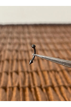 316 L Cerrahi Çelik Kaş Kulak Snug Helik Kıkırdan Daith Conch Rokk Tragus Piercing