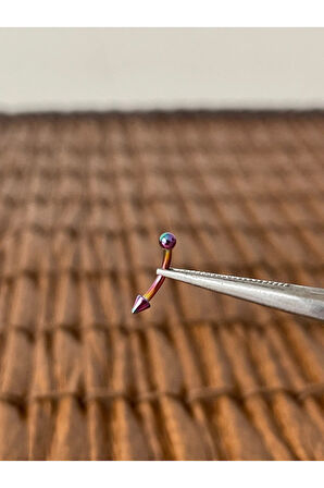 316 L Cerrahi Çelik Kaş Kulak Snug Helik Kıkırdan Daith Conch Rokk Tragus Piercing