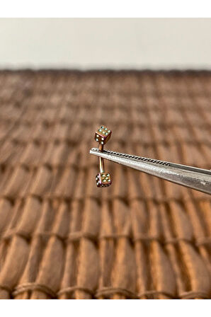 316 L Cerrahi Çelik Kaş Piercingi Kulak Snug Helix Kıkırdak Daith Conch Rook Tragus Piercing