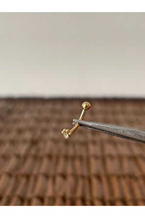 316 L Cerrahi Çelik Kaş Piercingi Kulak Snug Helix Kıkırdak Daith Conch Rook Tragus Piercing