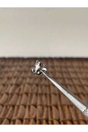 316 L Cerrahi Çelik Helix Tragus Kıkırdak Conch Piercingi