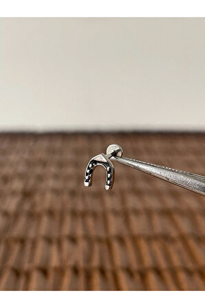 316 L Cerrahi Çelik Helix Tragus Kıkırdak Conch Piercingi