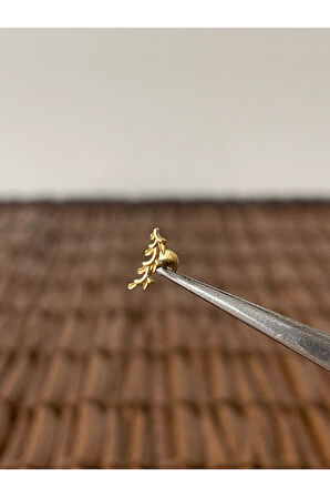 316 L Cerrahi Çelik Zeytin Dalı Dudak Helix Tragus Kıkırdak Conch Piercingi