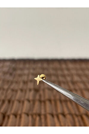 316 L Cerrahi Çelik Kuzey Yıldızı Dudak Helix Tragus Kıkırdak Conch Piercing