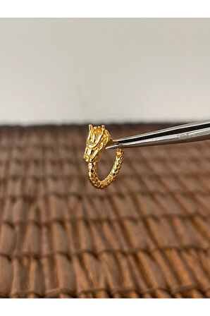 Pirinç Rodyum Kaplama Dargon Kıkırdak Helix Tragus Piercingi