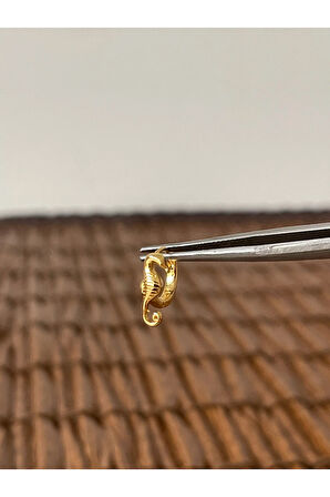 Pirinç Rodyum Kaplama Deniz Atı Kıkırdak Helix Tragus Piercingi