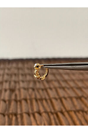 Pirinç Rodyum Kaplama Yılan Kobra Kıkırdak Helix Tragus Piercingi