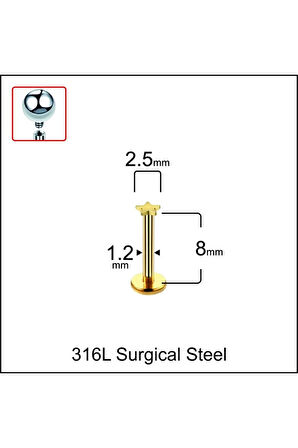316 L Cerrahi Çelik Yıldız Modeli Dudak Kıkırdak Helix Tragus Piercingi