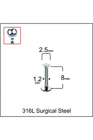 316 L Cerrahi Çelik Yıldız Modeli Dudak Kıkırdak Helix Tragus Piercingi