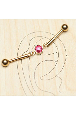 316 L Cerrahi Çelik Teş Taş Kırmızı Köprü Piercing