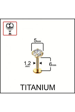 Yüksek Kalite G23 Titanyum Pırlanta Modeli Dudak Kıkırdak Helix Tragus Titanium Piercing
