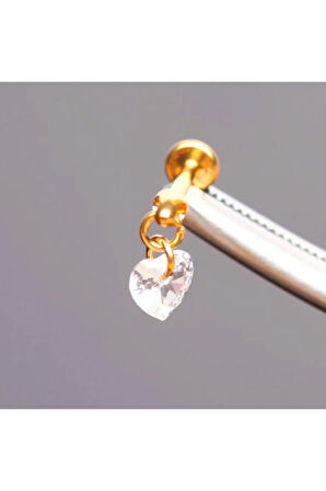 Yüksek Kalite G23 Titanium Sallantılı Zirkon Taşlı Dudak Helix Tragus Kıkırdak Titanyum Piercing