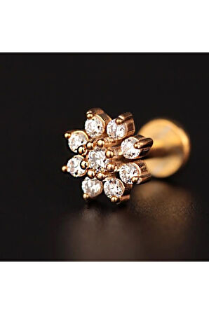 316 L Cerrahi Çelik Pırlanta Papatya Dudak Helix Kıkırdak Tragus Piercingi