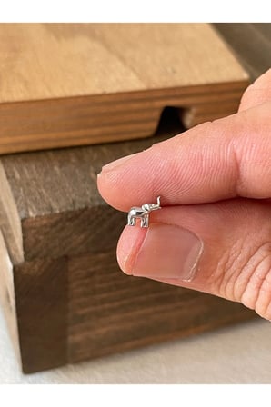 925 Ayar Gümüş Fil Tragus Kıkırdak Helix Piercingi Gümüş Piercing