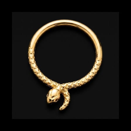 Yüksek Kalite G23 Titanium Yılan Altın Titanyum 8mm x 1.2mm Kilitli Halka Piercing