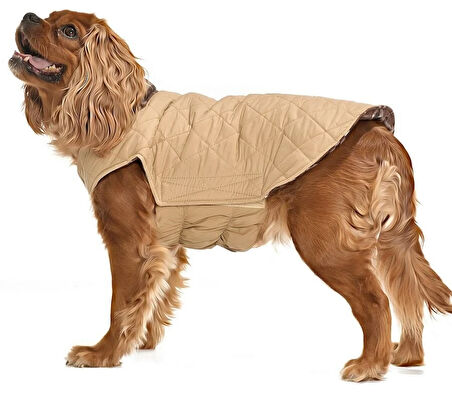 Küçük ve Orta Irk Köpek Mont Kampe Çift Taraflı Krem