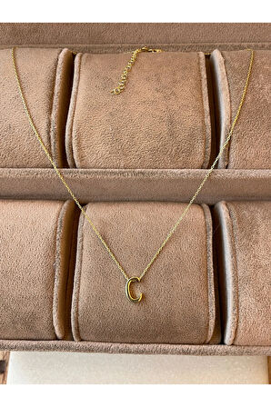 925 Ayar Gümüş Gold Renk N Harfi Kolye Harfli Kolye 45cm