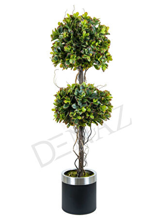 PITOSPORUM EGZOTIK 3 LÜ RED GREEN  170 CM METAL SA AK.ZND014