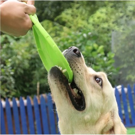 Silikon Frizbi Köpek Oyuncağı
