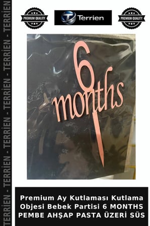 Premium Ay Kutlaması Kutlama Objesi Bebek Partisi 6 MONTHS PEMBE AHŞAP PASTA ÜZERİ SÜS