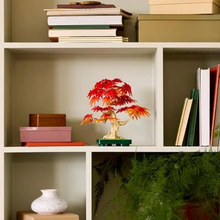10348 iconic Japon Akçaağaç Bonsai Ağacı 474 parça +18 yaş