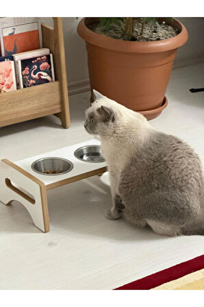 PatiStil Kedi & Köpek Mama Standı