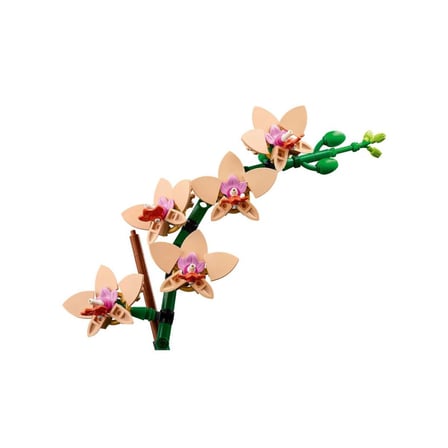 10343 iconic Botanicals Mini Orkide 274 parça +18 yaş