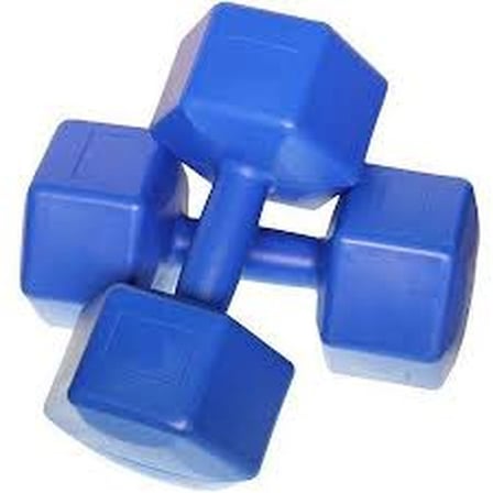 AKLLIBYİ98 10KG Plastik Köşeli Dambıl 2 Parça HMNG98