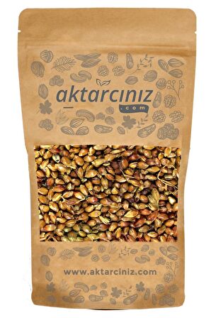 Süpürge Tohumu 500gr