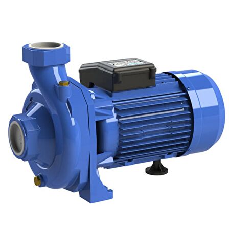Sumak SM150/2 1.5 Hp 220V Giriş 2" Çıkış 2" Santrifüj Sulama Pompası