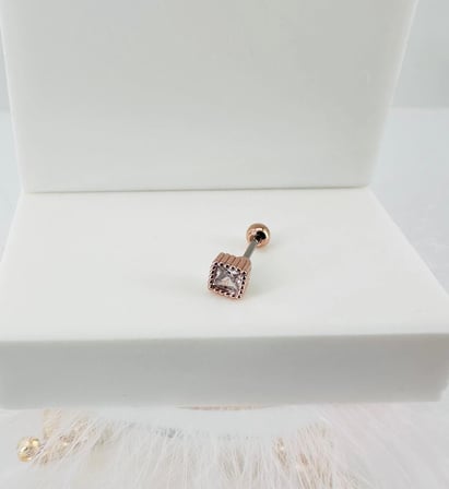 Rose Zirkon Taşlı Uç Kısmı : Pirinç Kıkırdak Bar Uzunluğu : 6 Mm / Bar Kalınlığı 0.8 Mm / Top Boyu 3 Mm - Pt0015-2