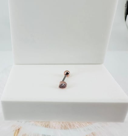 Rose Zirkon Taşlı Uç Kısmı : Pirinç Kıkırdak Bar Uzunluğu : 6 Mm / Bar Kalınlığı 0.8 Mm / Top Boyu 3 Mm - Pt0042-2