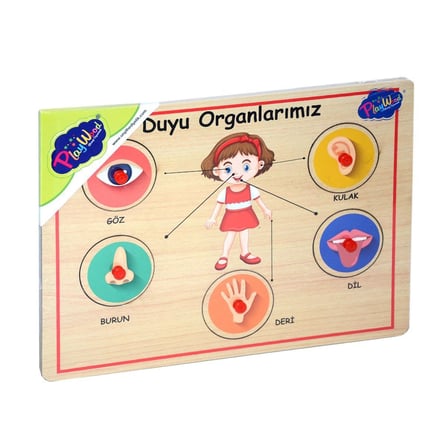 / Onyıl, Ahşap Tutmalı Organlar