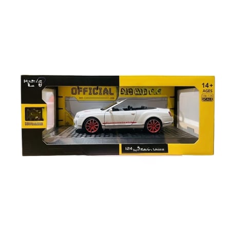 1/24 Model Araba