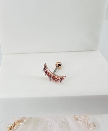 Rose Zirkon Taşlı Uç Kısmı : Pirinç Kıkırdak Bar Uzunluğu : 6 Mm / Bar Kalınlığı 0.8 Mm / Top Boyu 3 Mm - Pt0003-2