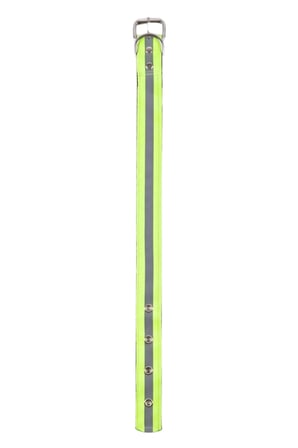 Fosforlu Yeşil Tasma 55 cm