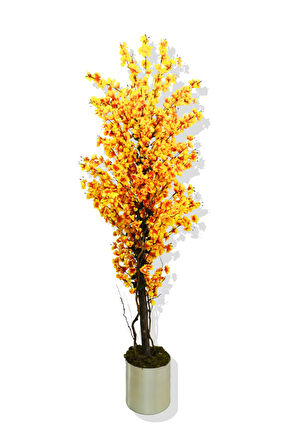 Alev Sarısı Bahar Dalı 180 Cm 25x25 Metal Saksı