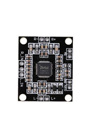 Pam8610 2x15w Amplifier Modül-dijital Amfi - D Class