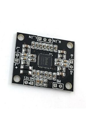 Pam8610 2x15w Amplifier Modül-dijital Amfi - D Class