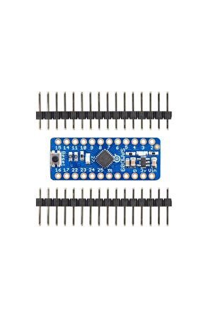 Atsamd09 Breakout Development Board