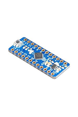 Atsamd09 Breakout Development Board